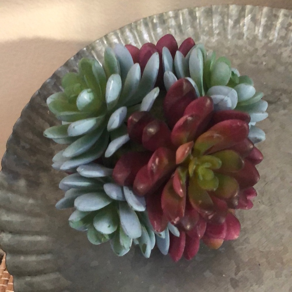 Faux-Succulent small ball/sphere. Everlasting